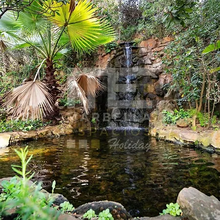 Roy Boston By Florentia Homes * 마르베야